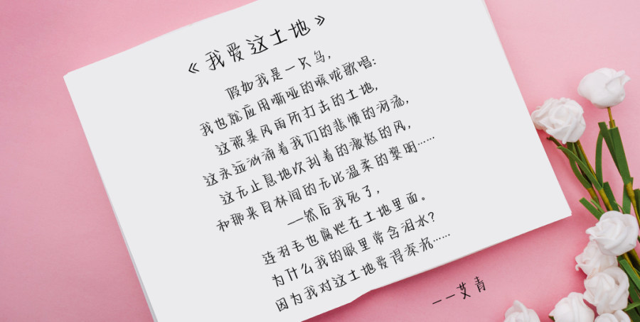 奶酪字体