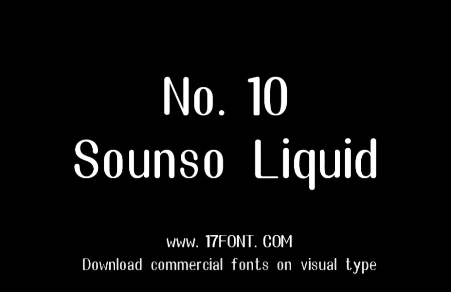 No.10-Sounso Liquid