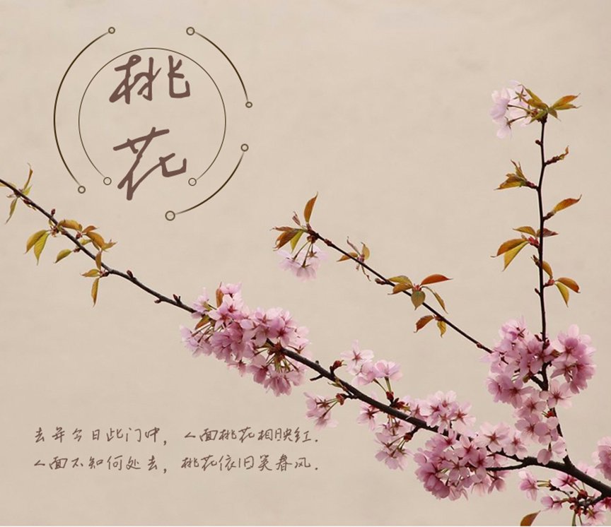 三极楚凡行楷（新名字：三极楚行行楷）