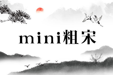 mini粗宋