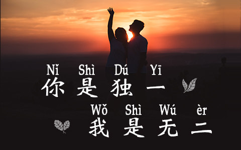 你是独一我是无二