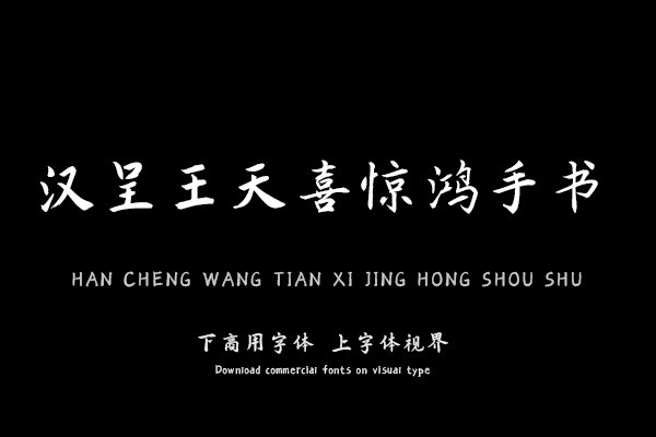 汉呈王天喜惊鸿手书