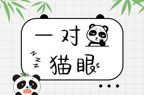 一对熊猫眼