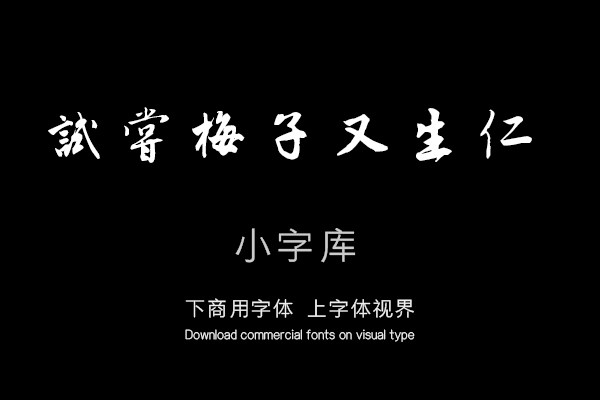 汉标唐寅落花诗册