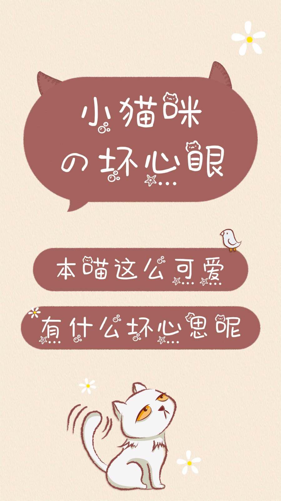 小猫咪の坏心眼