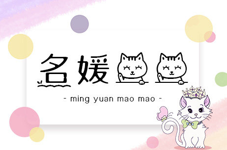 名媛猫猫