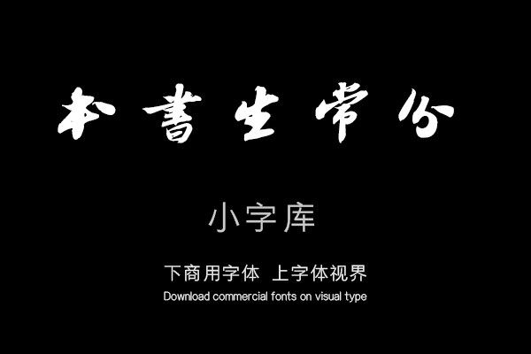 汉标苏轼王晋卿帖