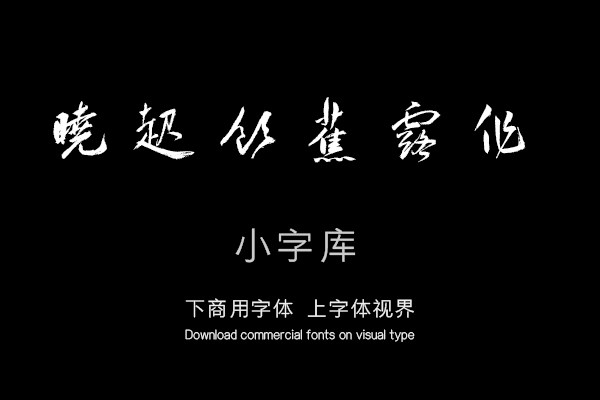 汉标王宠行草大书诗帖