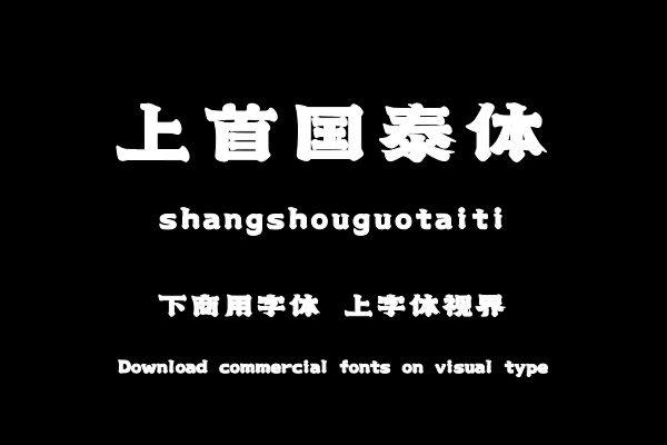 上首国泰体