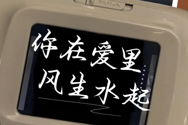 你在爱里风生水起