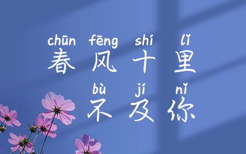 春风十里不及你