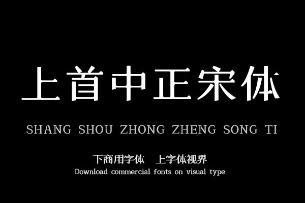 上首中正宋体