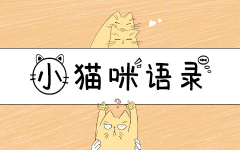小猫咪语录