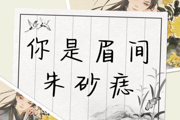 你是眉间朱砂痣