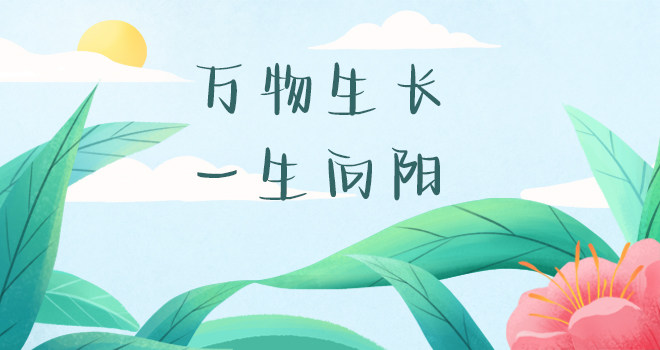 你总会遇见那束光