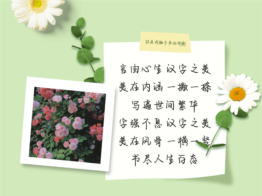 你是我触不及的倒影