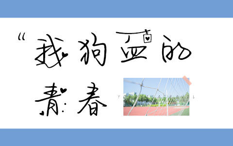 我狗血的青春