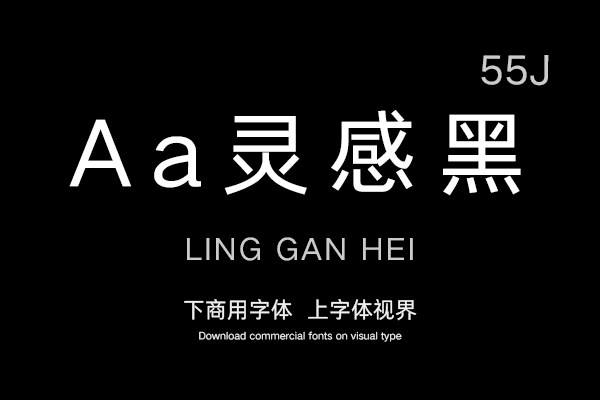 Aa灵感黑 55J