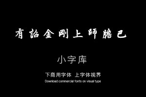 汉标赵孟頫胆巴碑-字体设计