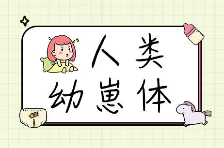 人类幼崽体