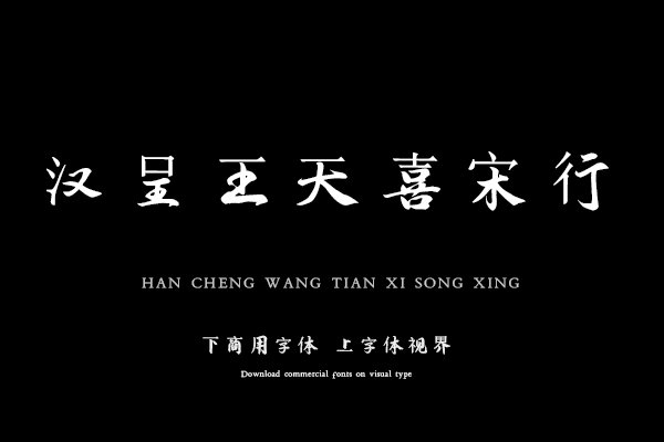 汉呈王天喜宋行字体