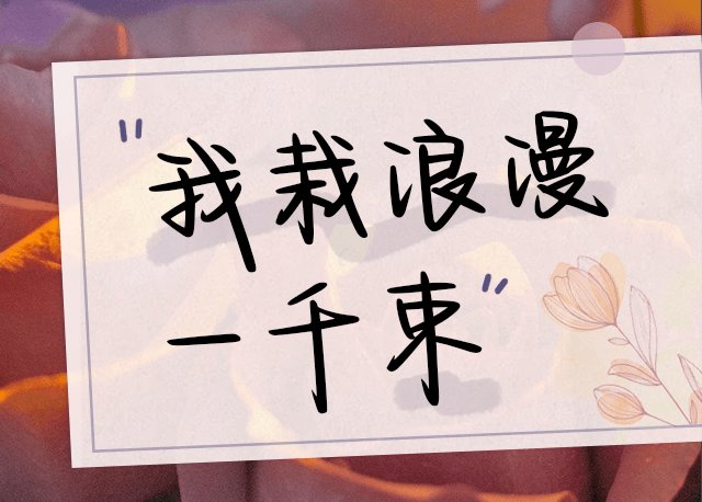 我栽浪漫一千束