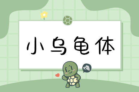 小乌龟体