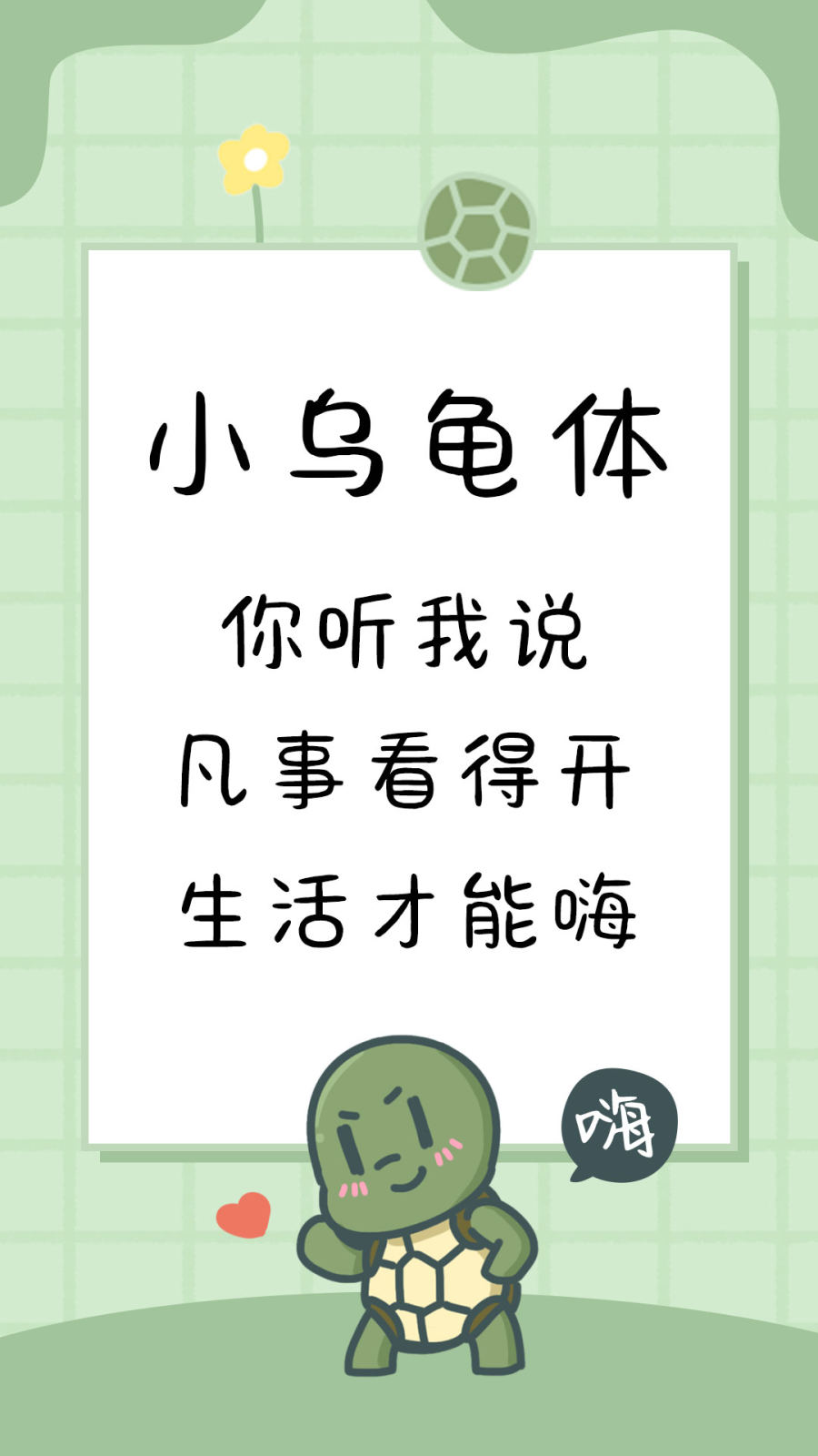小乌龟体