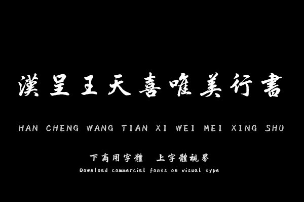 汉呈王天喜唯美行书