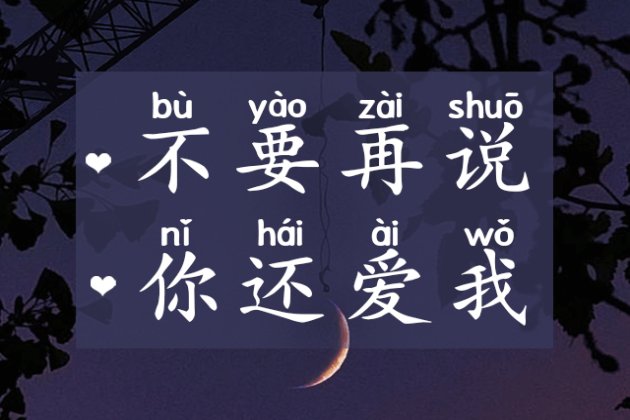 不要再说你还爱我