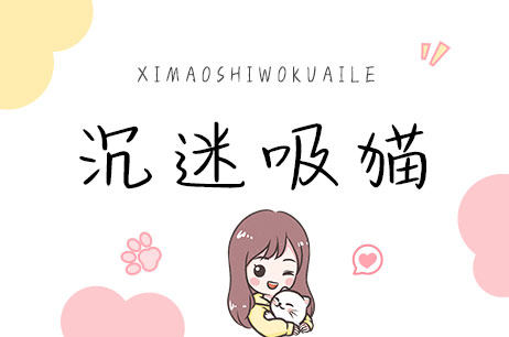沉迷吸猫