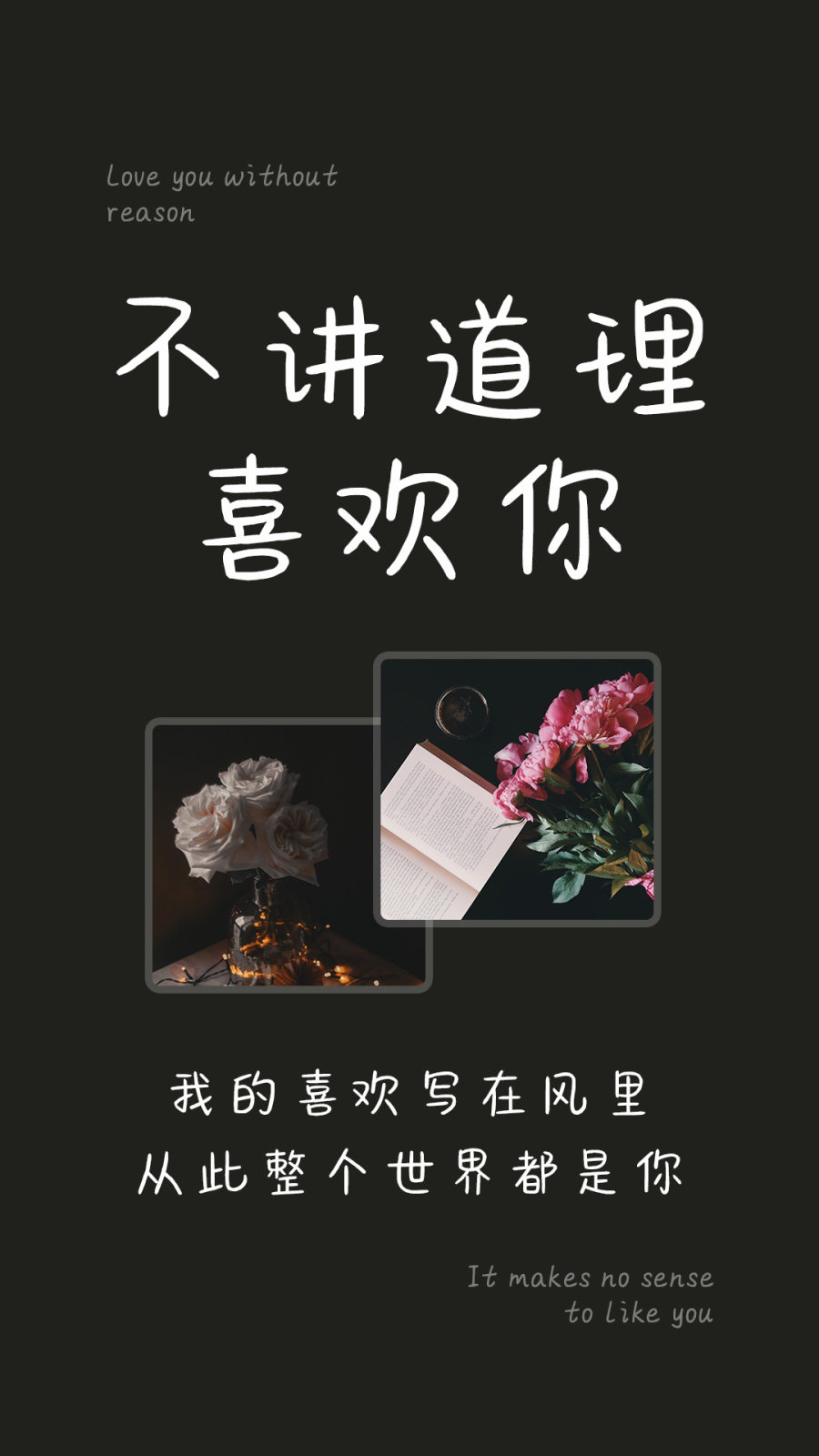 不讲道理喜欢你