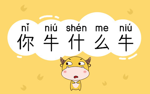 你牛什么牛