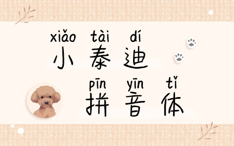 小泰迪拼音体