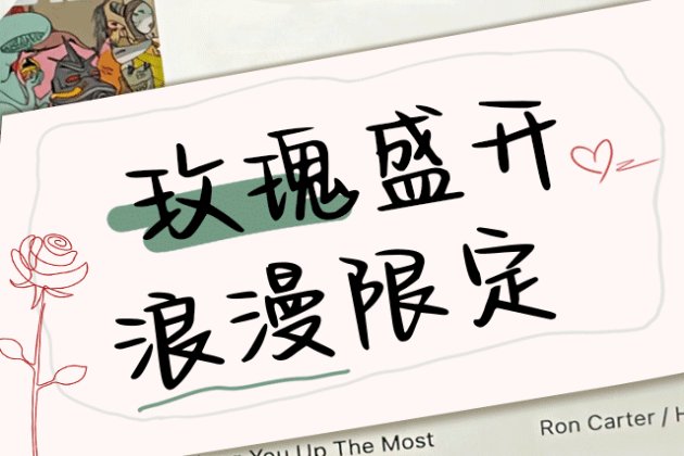 玫瑰盛开浪漫限定