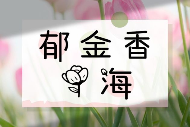 郁金香花海