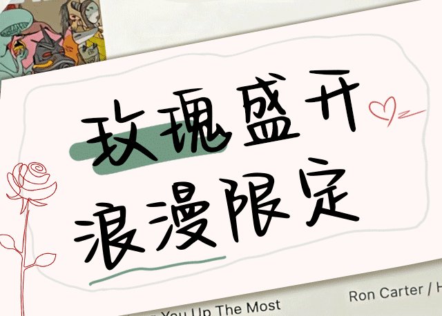 玫瑰盛开浪漫限定