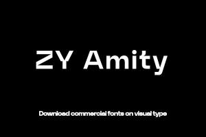 ZY Amity-艺术字体