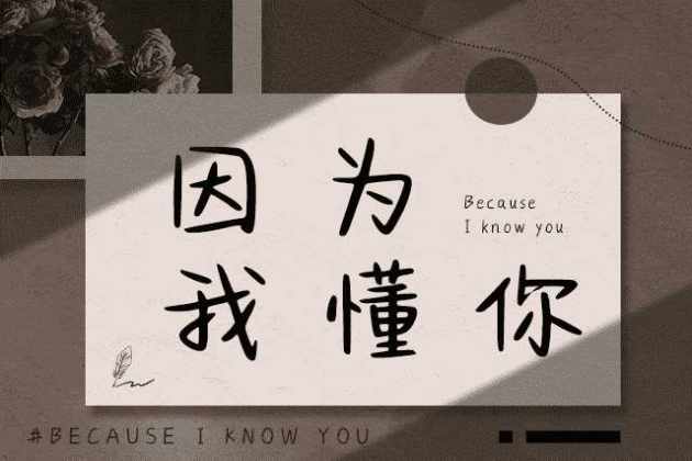 因为我懂你