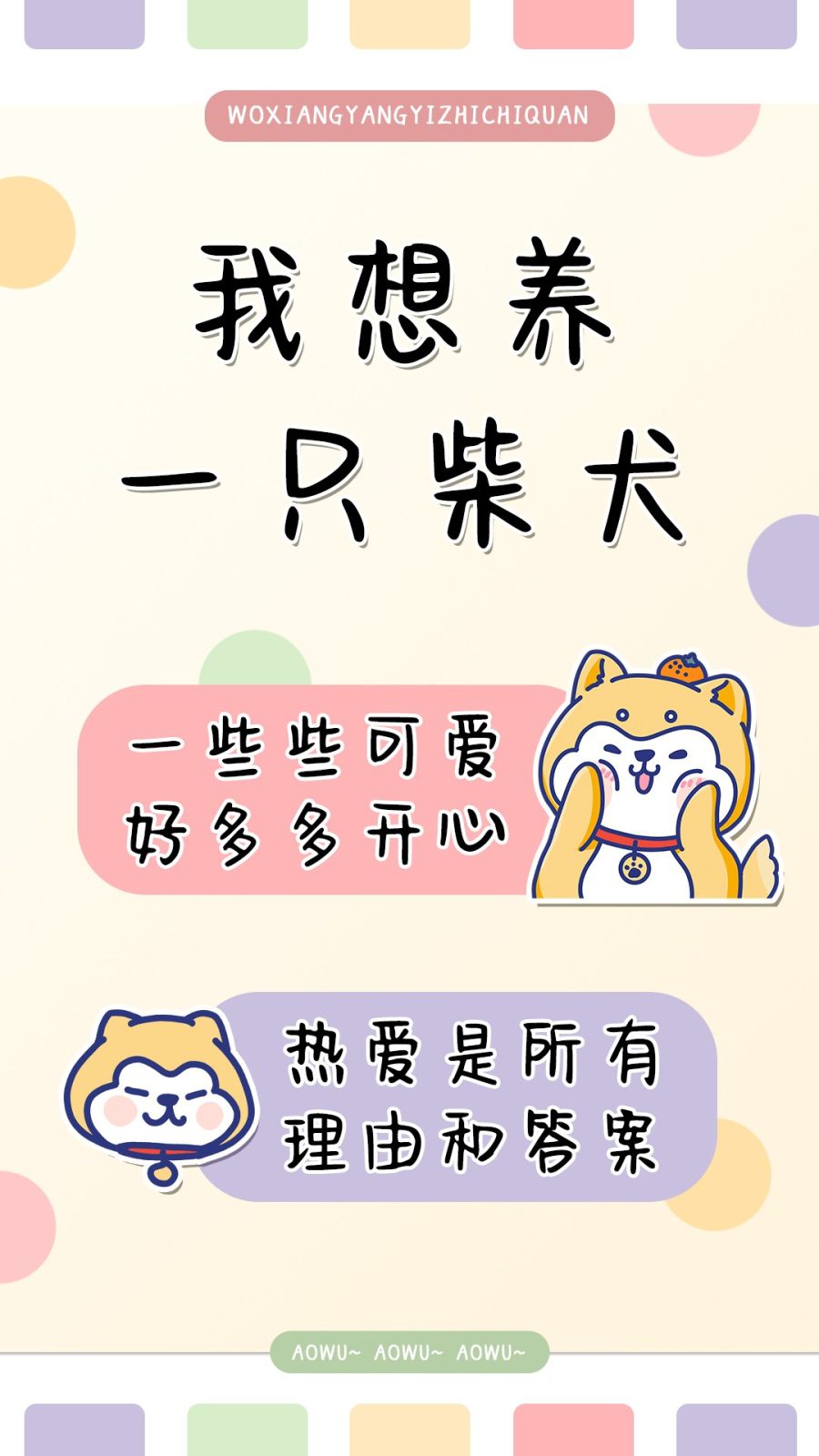 我想养一只柴犬