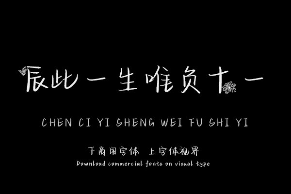 辰此一生唯负十一