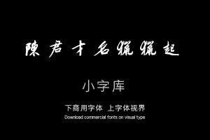 汉标白珽行书陈君诗帖-字体设计