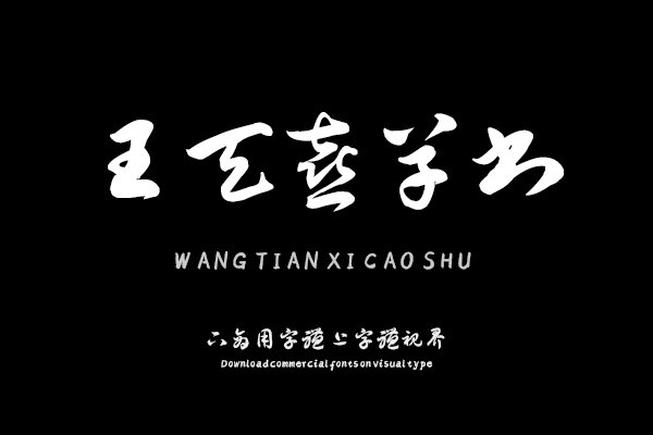 汉呈王天喜草书字体