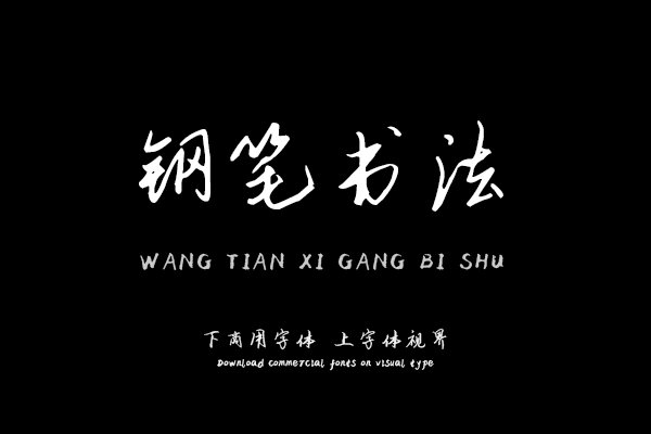 汉呈王天喜钢笔书法字体