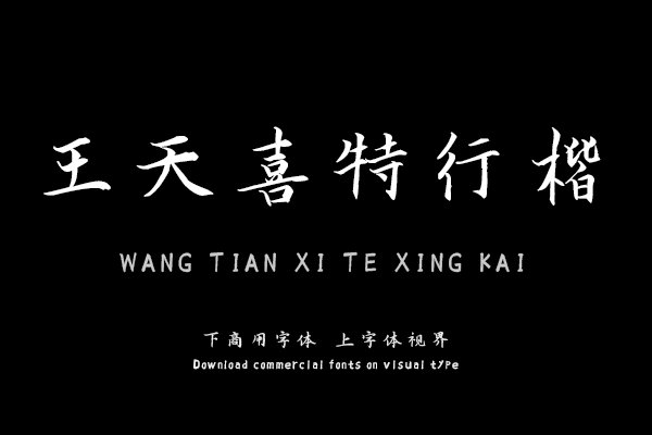 汉呈王天喜特行楷字体