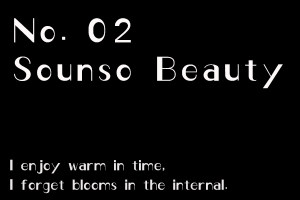 Sounso Beauty-艺术字体