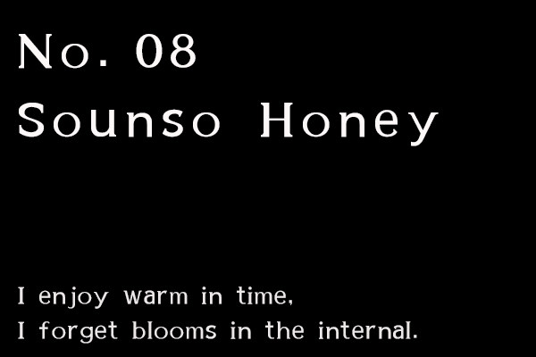 No.08-Sounso Honey