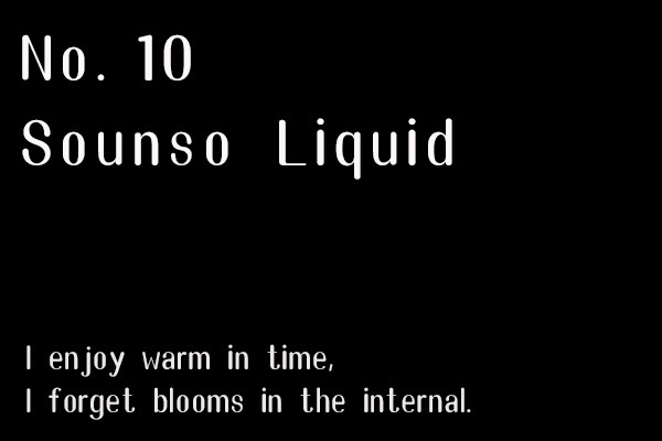 No.10-Sounso Liquid