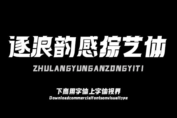 逐浪韵感综艺体