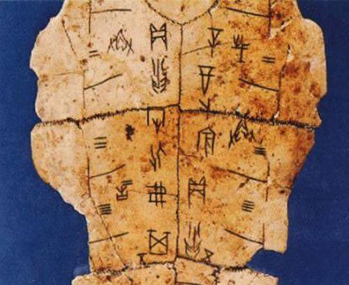 content-11709886045122519.jpeg 8ed7076d8b9243a9b60263462fea527c.jpeg